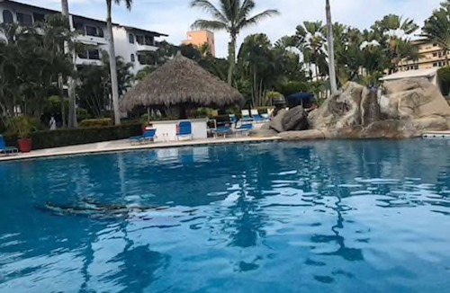 Marina Vallarta House | Beautiful apartment in Marina vallarta