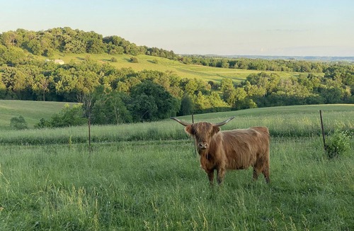 Elizabeth Cabin | Beautiful compound, 10 mile views, on 300 acre ranch, next to Galena Territory