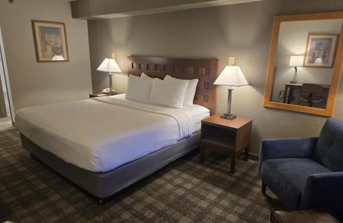 Northeast Heights Hotel | Best Western North I-25 Hotel