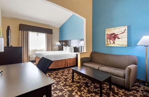 Arlington Hotel | Best Western Plus Arlington North Hotel & Suites