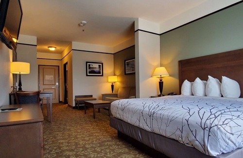 Emory Hotel | Best Western Plus Emory At Lake Fork Inn & Suites