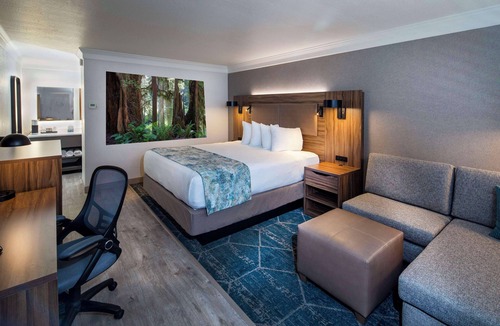 Downtown Hotel | Best Western Plus Humboldt Bay Inn