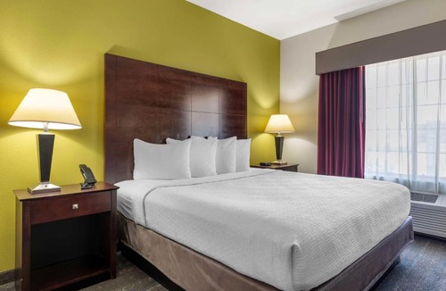 South Arlington Hotel | Best Western Plus Mansfield Inn & Suites