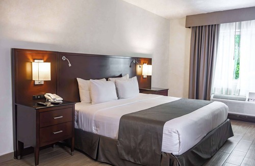 Monterrey Hotel | Best Western Plus Monterrey Colon