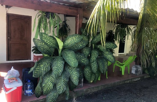 Pacific Coast Ski Chalet | Birds House, Puerto San Jose