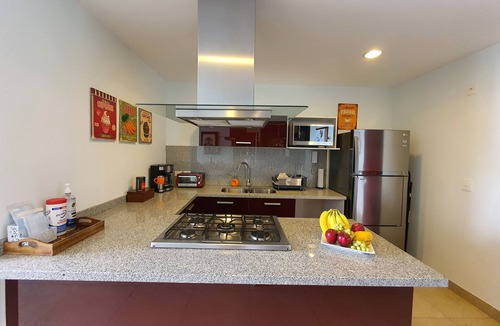 Ampliacion Granada Apartment | Blue Horse Apartment in New Polanco.