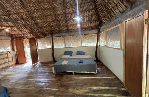 Tonala House | Bokané