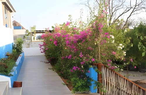 Salchi Apartment | BUDA