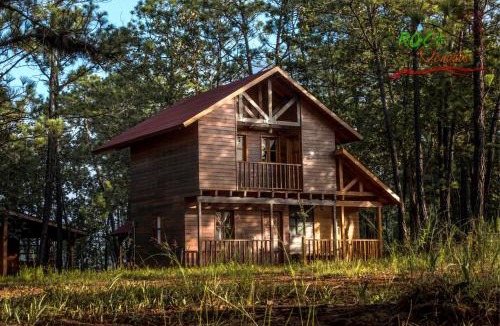 Mascota Ski Chalet | Cabaña Encino para 10 personas en medio del bosque mascotense