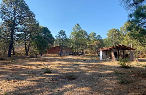 Tapalpa Villa | Cabaña La Bombilla en Tapalpa