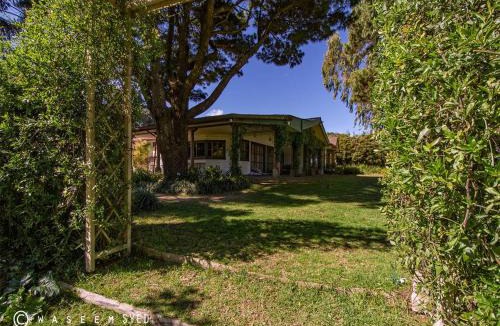 Santa Catarina Barahona Villa | Cabaña La Meseta