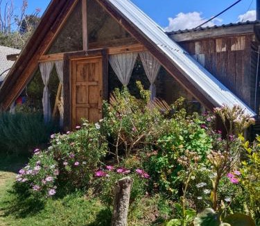 San Jose del Pacifico Hotel | Cabañas Alma Serrana