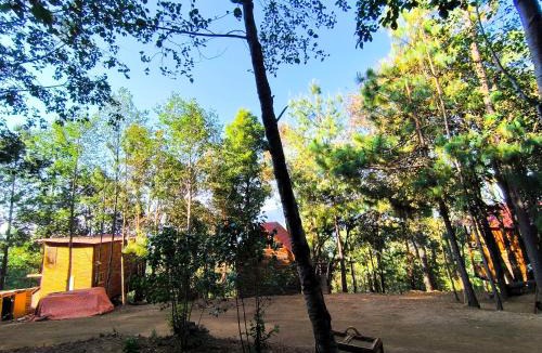 San Jose del Pacifico Ski Chalet | Cabañas en el Bosque de San José del Pacífico 5