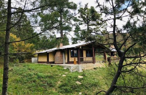 Arteaga Cabin | Cabañas La Moneda