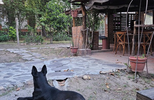 Dolores Hidalgo Cabin | Cabañas Los Nogales Dolores Hidalgo