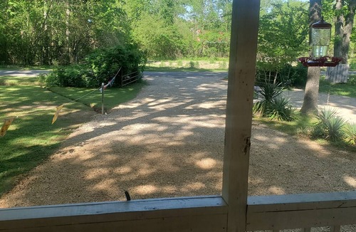 Karnack Cabin | Cabin like setting on secluded wooded property 5 minutes from Caddo Lake