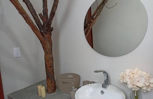 Atlixco Apartment | Canario206 c