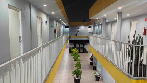 Monclova Hotel | Capital Hotel