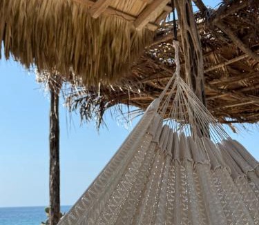El Cacalote Other | Casa Añu