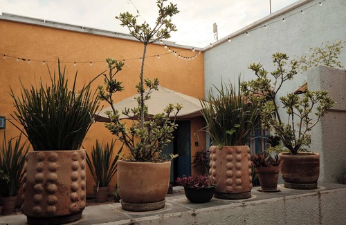 Downtown Guadalajara House | Casa Arrayán | Downtown Guadalajara | Beautiful Colonial Home with Courtyard
