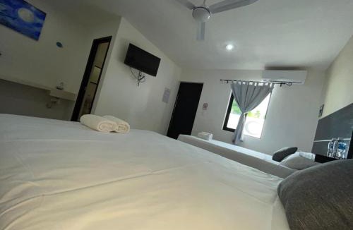 Campeche Hotel | Casa Chenera