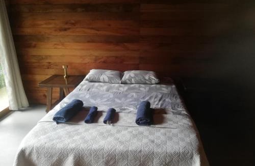 Puerto Barrios House | casa colibri cañón de rio dulce