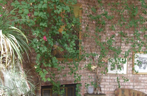 Paradise Hills Civic House | CASA DE CARRARO PRIVATE OASIS IN ALBUQUERQUE