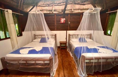 Puerto Barrios Hostel | Casa de la Iguana