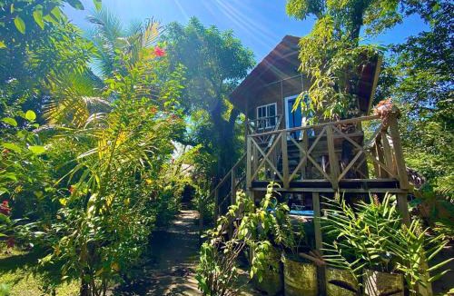 Puerto Barrios Hostel | Casa de la Iguana