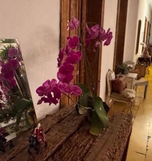 Zona 1 House | CASA DE LAS FLORES