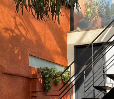 Zona Centro Hotel | Casa H