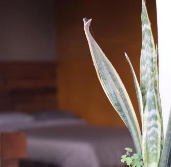 Quetzaltenango House | Casa I`X