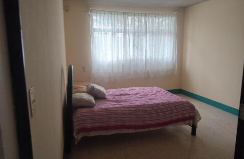 Oaxaca Apartment | casa los patos