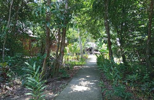 Puerto Barrios Cabin | Casa Maya
