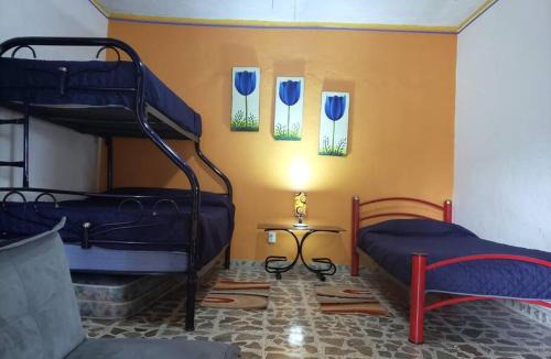 Cuernavaca House | Casa Temazcalli Morelos - Alberca y Temazcal