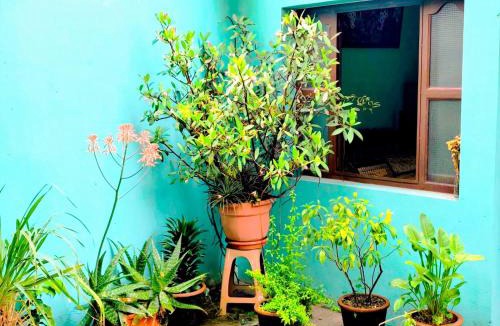Ciudad Vieja House | Casa Tuta