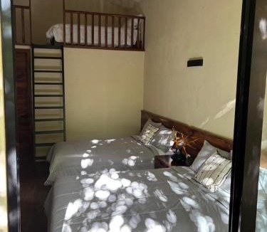 Gomez Farias Other | Casa Xunaan
