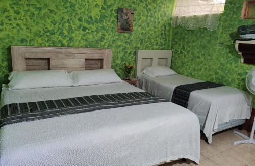 Coban Apartment | Casamar