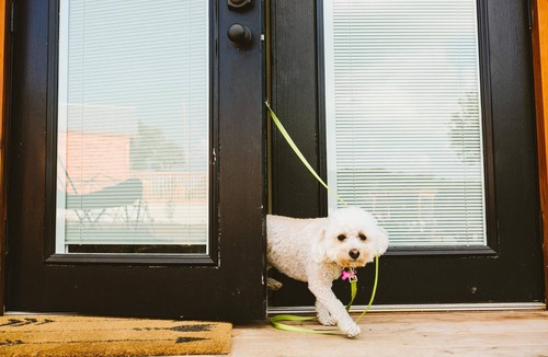 Dripping Springs Villa | Claire Villa @ D6 Retreat: Hike/Swim/Relax