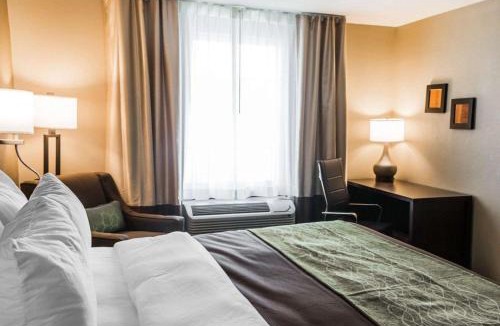 Pharr Hotel | Comfort Inn & Suites Pharr - McAllen
