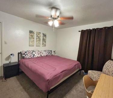 Astrodome Apartment | Comfortable 1 King bed 1 bath in TMC and near NRG
