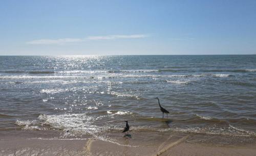 San Felipe House | Condo 5, in San Felipe Just Steps to the Beach, Near the Malecon.