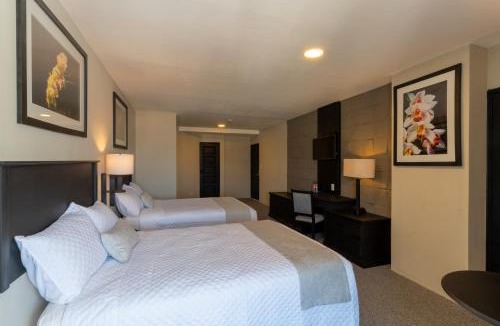Zona 4 Hotel | Conquistador Hotel & Conference Center