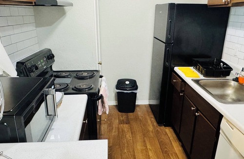 Astrodome Apartment | Convenient Cozy 1-BR apartment, close to downtown, NRG, fine dining, Med Ctr