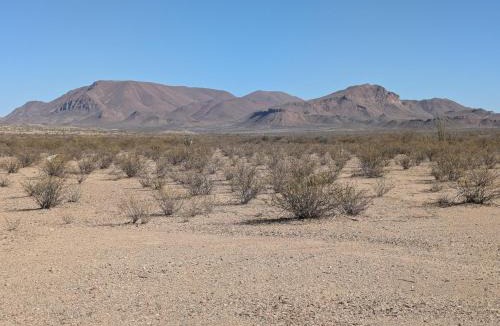 Alpine Other | Cozy Peaceful Tiny Cabins Behind Big Bend National Park