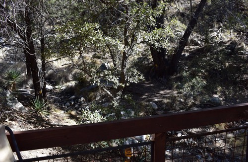 Sonoita Cabin | Creekside Madera Canyon Cabin close to Trailheads for hiking and birdwatching