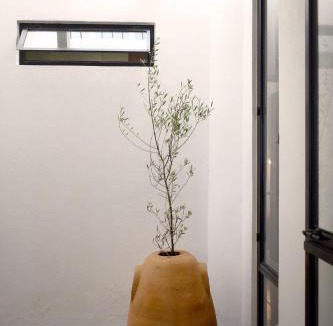 Jamay Apartment | Departamento Apolo