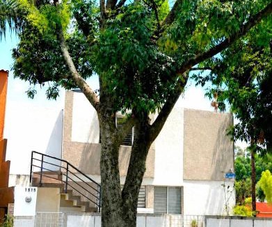 Guadalajara Municipality Apartment | Departamento Coco Guadalajara