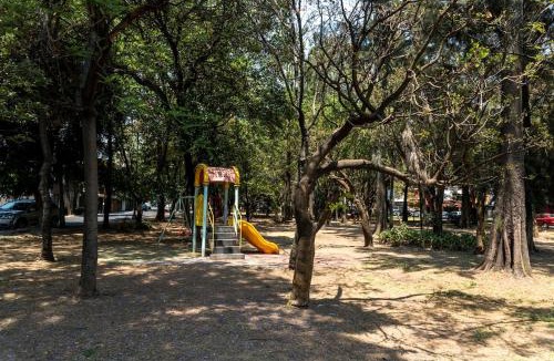Coyoacan Apartment | Departamento en Coyoacán 8