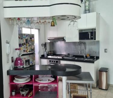 Roma Sur Apartment | Departamento roma-condesa